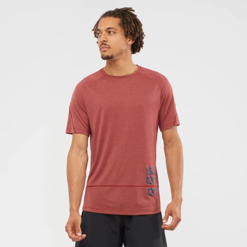 Dark Red Salomon Cross Run Graphic Short Sleeve Men's T-Shirts | IE TF7168